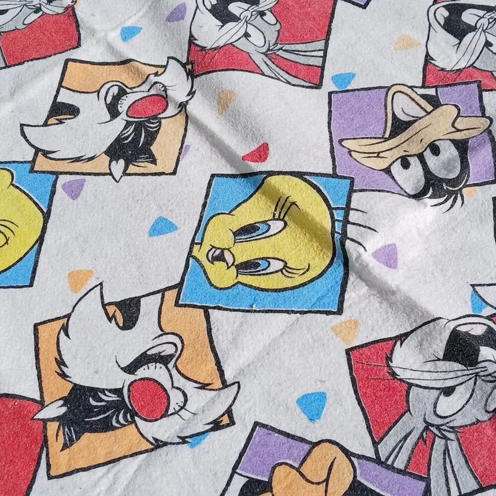 Vintage Looney Tunes Blanket *Altered
